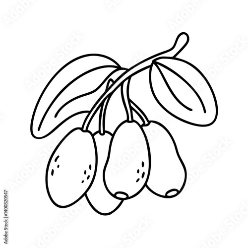 miracle fruit icon, miracle fruit vector illustration-simple illustration of miracle fruit, perfect for miracle fruit logos and icons
