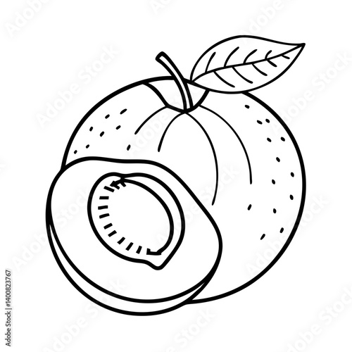 nectarine fruit icon, nectarine fruit vector illustration-simple illustration of nectarine fruit, perfect for nectarine fruit logos and icons