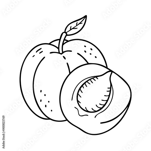 nectarine fruit icon, nectarine fruit vector illustration-simple illustration of nectarine fruit, perfect for nectarine fruit logos and icons
