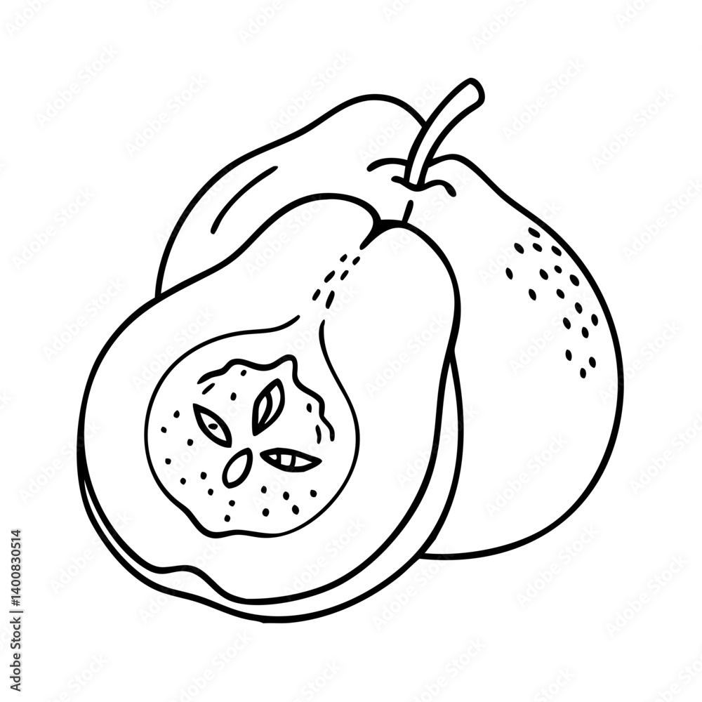 Obraz premium quince fruit icon, quince fruit vector illustration-simple illustration of quince fruit, perfect for quince fruit logos and icons