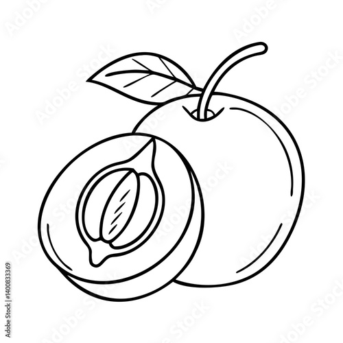 sapodilla fruit icon, sapodilla fruit vector illustration-simple illustration of sapodilla fruit, perfect for sapodilla fruit logos and icons
