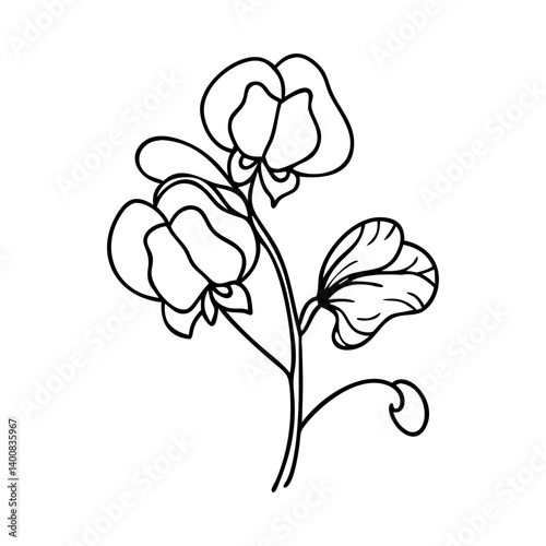 sweet pea flower icon, sweet pea flower vector illustration-simple illustration of sweet pea flower, perfect for sweet pea flower logos and icons