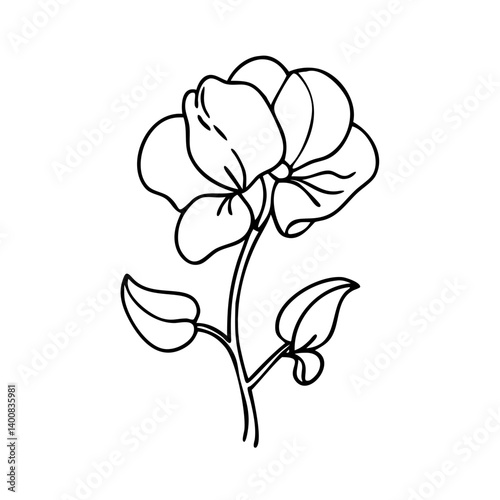 sweet pea flower icon, sweet pea flower vector illustration-simple illustration of sweet pea flower, perfect for sweet pea flower logos and icons