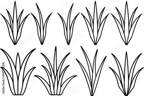 set of lemongrass line art 