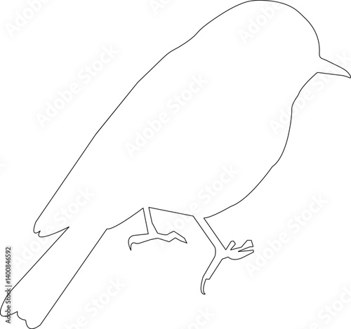 eastern bluebird outline silhouette Vector