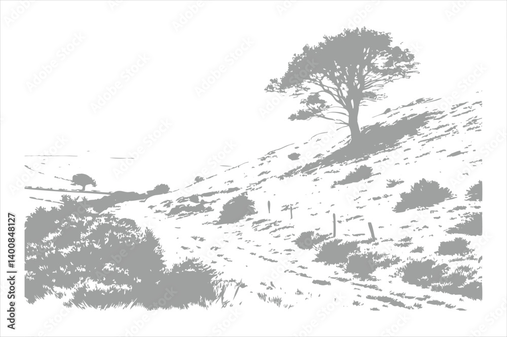 White Grungy Hill Texture Background.
