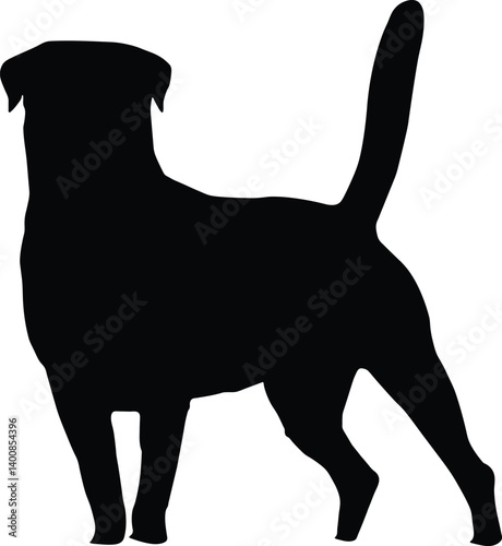 Labrador Dog Vector silhouette Illustration black color