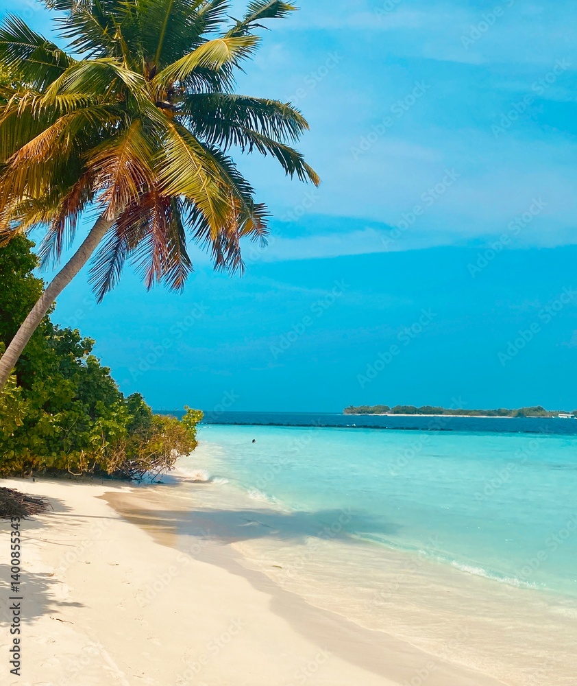 Obraz premium tropical beach with palm trees