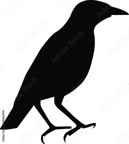 Vector hand drawn doodle sketch crow silhouette isolated on white background