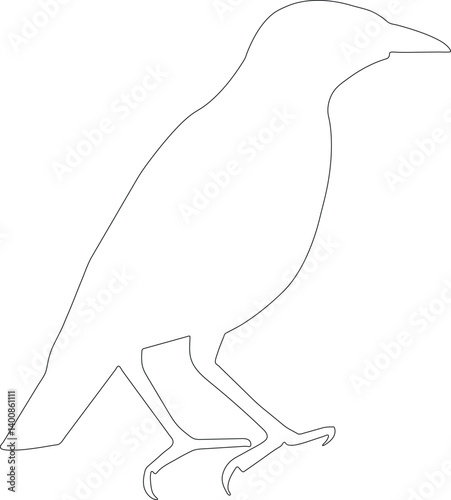 crow outline silhouette Pro Vector