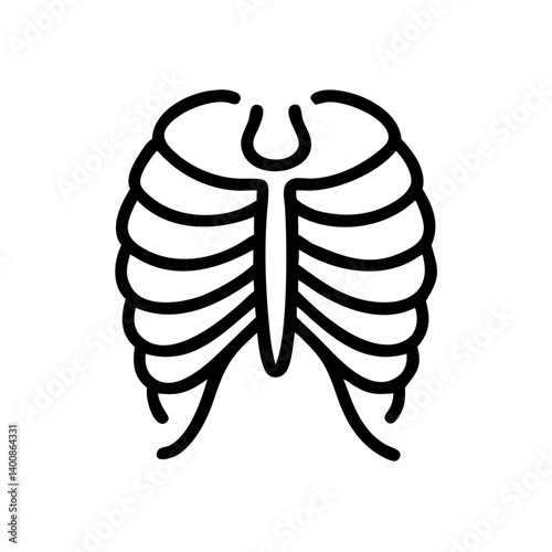 ribs