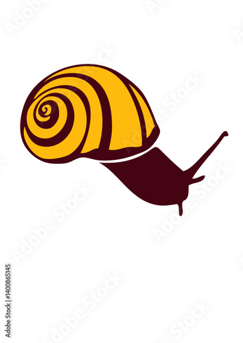 escargot dessin