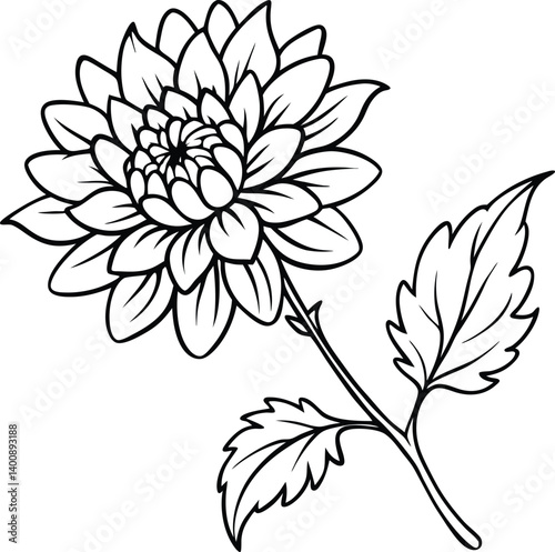 Exquisite Chrysanthemum Line Art Vector