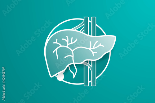 Simple medical illustration of the liver with the gallbladder partially hidden, and a view of cystic duct. Aorta and hepatic vein behind the liver, circular frame on gray background. Vector.