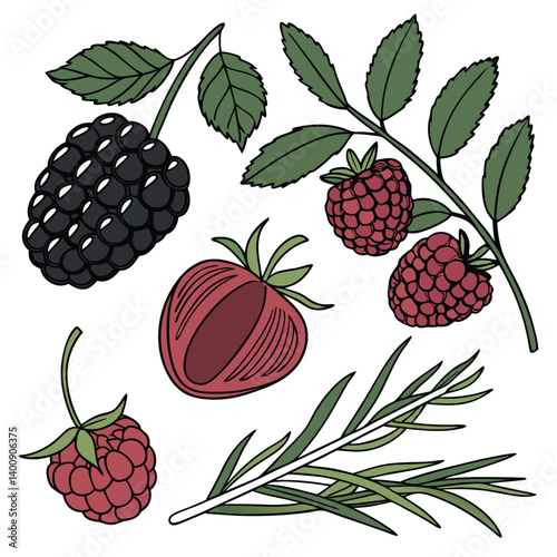 Amora, framboesa. Frutas, verduras, alimentos, temperos, comida. Isolados em fundo branco.  