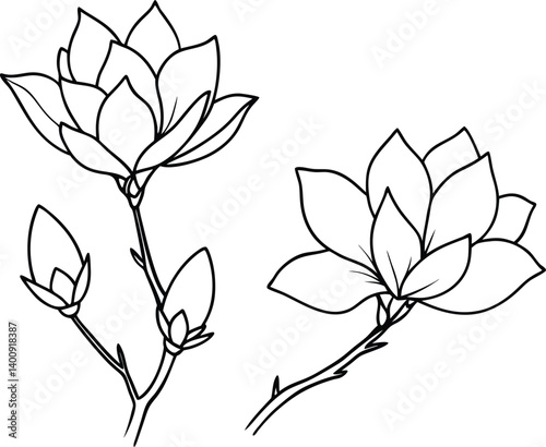 Collection of Graceful Magnolia Line Art Vector