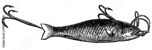 Fishing Vintage Vector Illustration