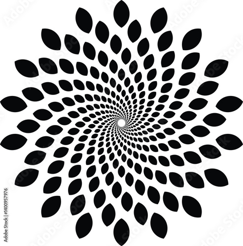 Flower Bloom Radial Patterns