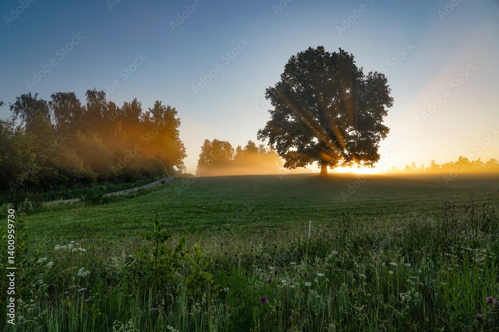 Fototapeta premium The light comes over the hill