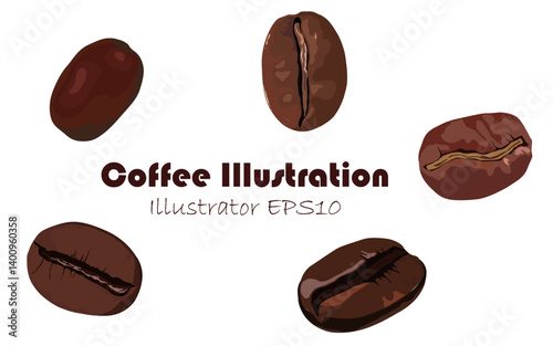 Coffee beans illustration, coffee beans illustrations at various angles
