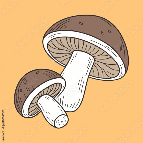 Shiitake Mushroom vector Illustrator Artwork