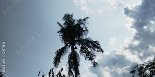 Natural trees evening time caption real live image.jpg