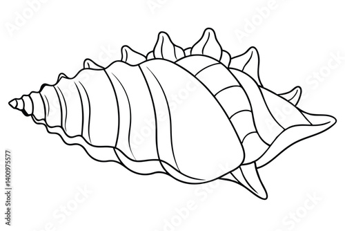 Vector sea shell collection seamless pattern design