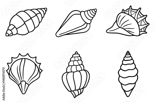 Vector sea shell collection seamless pattern design