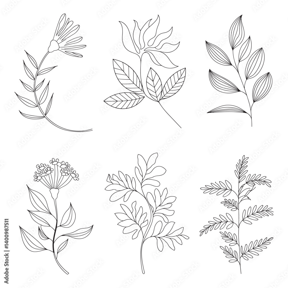 Fototapeta premium Collection of hand drawn floral and botanical elements