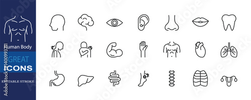 Set of icons for Human Body. Editable stroke. Vector illustration