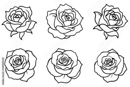 Set of rose and flower vector seamless pattern design illustration