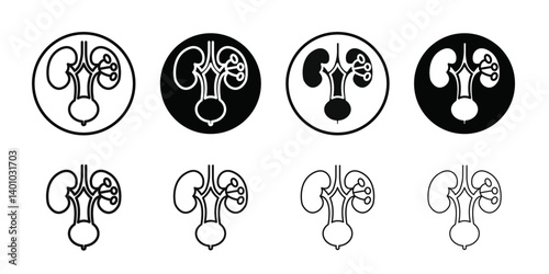 Urinary system icon Vector flat thin line illustration