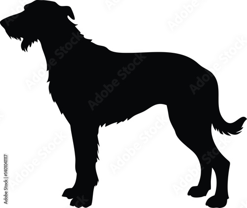 Irish Wolfhound Silhouette with Bristled Beard Isolated on Transparent Background