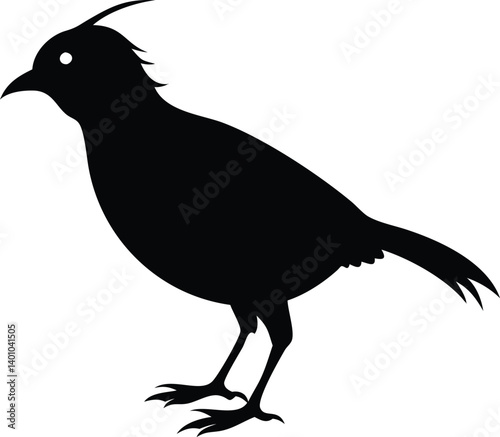 Isolated Bird Silhouette with Crest and Sharp Claws on Transparent Background