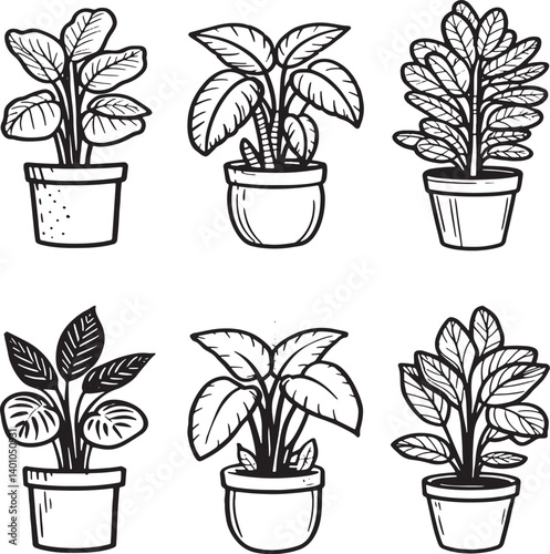 Set of houseplants in pots vector illustration isolated On Transparent Background
