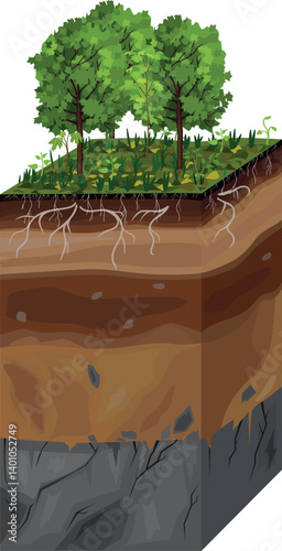 Soil profile. Scheme of a cross section of a soil, revealing horizons