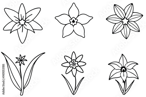 A beautiful lily of the valley flower isolated on white, with a delicate floral design and spring blossom