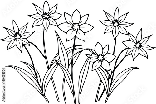 A beautiful lily of the valley flower isolated on white, with a delicate floral design and spring blossom