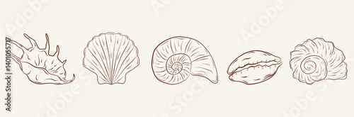 Set of hand-drawn seashells in monochrome blue ink. Tropical beach shells. Summer vacation design elements. Vector illustration.