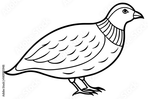 Quail Silhouette Line Art