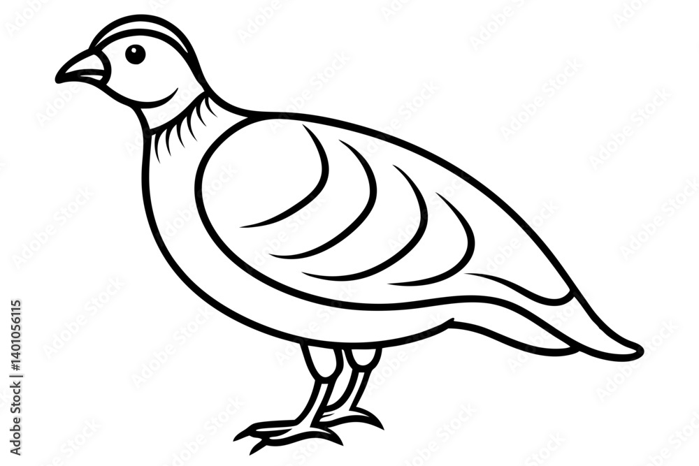 Fototapeta premium Quail Silhouette Line Art