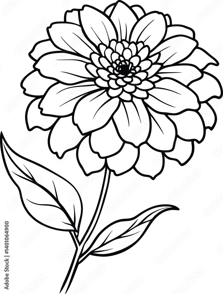 Fototapeta premium Bold Zinnia Line Art Vector