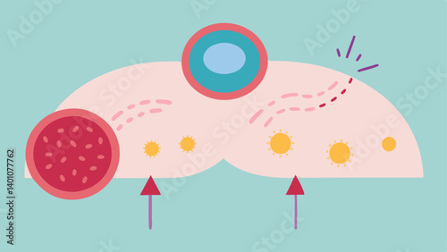 Healing Cells Activation An illustration featuring various skin cells like fibroblasts being activated by exosomes with arrows indicating movement and interaction.