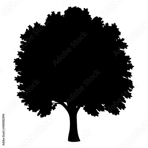 Monochrome Silhouette of a Large, Detailed, Leafy Tree Against a White Background
