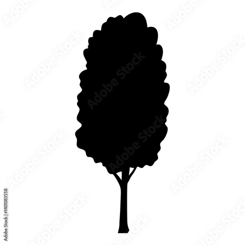 poplar tree silhouettes - black poplar tree, isolated transparent background