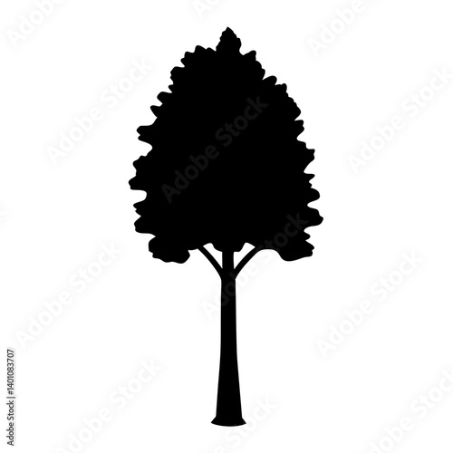 poplar tree silhouettes - black poplar tree, isolated transparent background