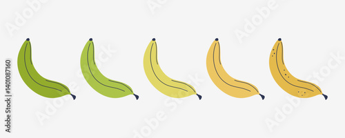 Banana ripeness stages set. Cute tropical fruits ripening gradation steps from green to overripe spotted yellow. Fresh vegan food. Hand drawn flat design vector illustration.