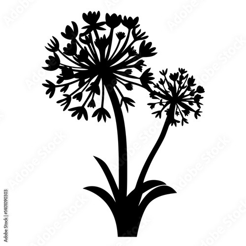 Silhouette of Two Beautiful Flowers with Numerous Petals Blooming on Single Stem