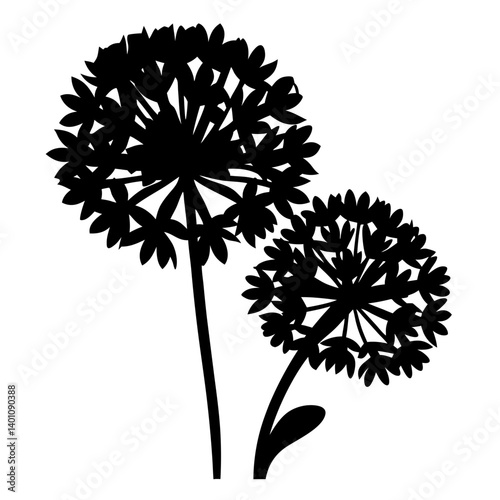 Silhouette of two blooming allium flowers with long stems against a white background botanical illustration floral design nature art