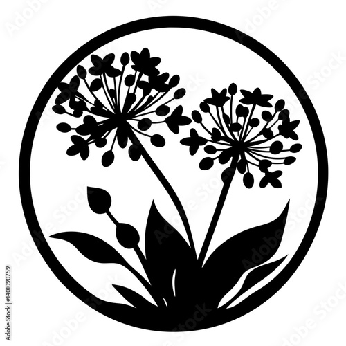 Elegant Black and White Floral Illustration of Two Blooming Allium Flowers in a Circular Frame Botanical Design Element